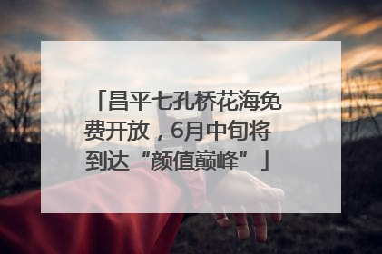 昌平七孔桥花海免费开放，6月中旬将到达“颜值巅峰”