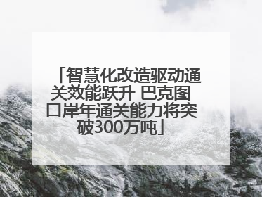 智慧化改造驱动通关效能跃升 巴克图口岸年通关能力将突破300万吨