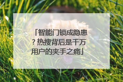 智能门锁成隐患？热搜背后是千万用户的夹手之痛