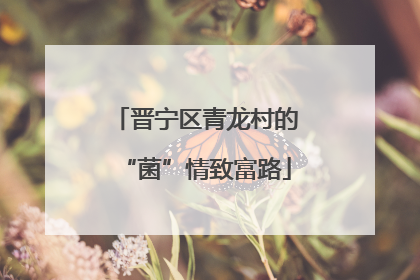 晋宁区青龙村的“菌”情致富路