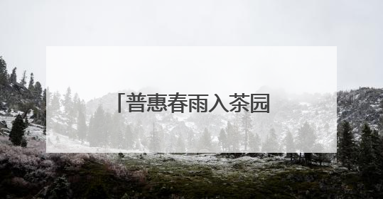普惠春雨入茶园 润出“湘”茶高质量致富路