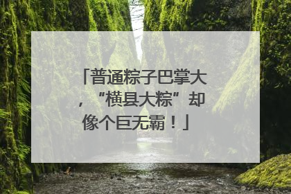 普通粽子巴掌大，“横县大粽”却像个巨无霸！