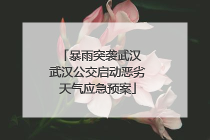 暴雨突袭武汉 武汉公交启动恶劣天气应急预案