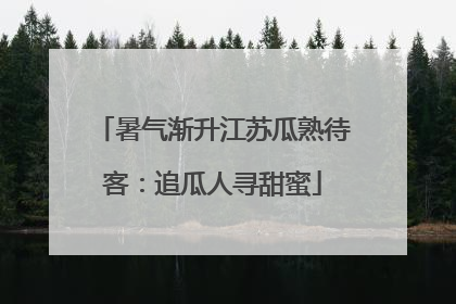 暑气渐升江苏瓜熟待客：追瓜人寻甜蜜
