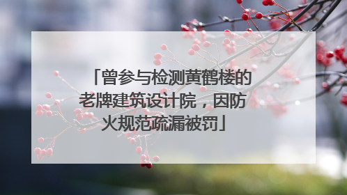 曾参与检测黄鹤楼的老牌建筑设计院，因防火规范疏漏被罚