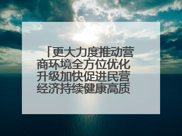 更大力度推动营商环境全方位优化升级加快促进民营经济持续健康高质量发展