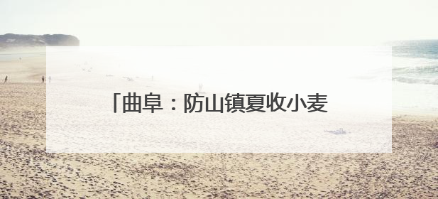 曲阜：防山镇夏收小麦实现烘干“不过夜”