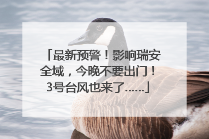 最新预警！影响瑞安全域，今晚不要出门！3号台风也来了……