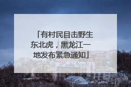 有村民目击野生东北虎，黑龙江一地发布紧急通知