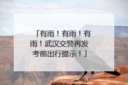 有雨！有雨！有雨！武汉交警再发考前出行提示！