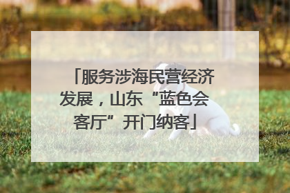 服务涉海民营经济发展，山东“蓝色会客厅”开门纳客