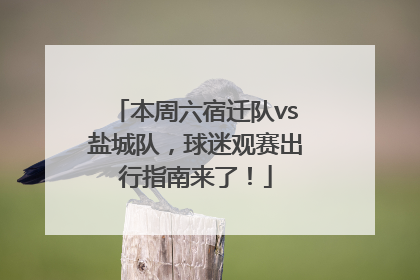 本周六宿迁队vs盐城队，球迷观赛出行指南来了！
