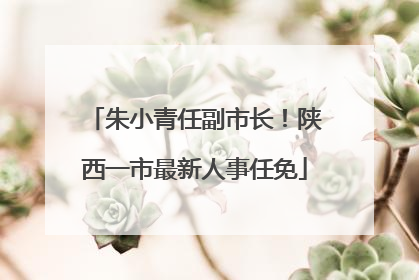 朱小青任副市长！陕西一市最新人事任免