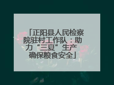 正阳县人民检察院驻村工作队：助力“三夏”生产 确保粮食安全
