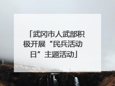 武冈市人武部积极开展“民兵活动日”主题活动