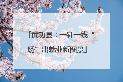 武功县：一针一线“绣”出就业新图景