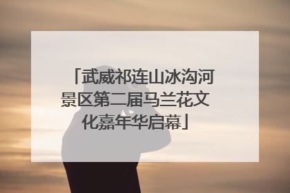 武威祁连山冰沟河景区第二届马兰花文化嘉年华启幕