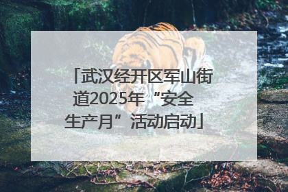 武汉经开区军山街道2025年“安全生产月”活动启动