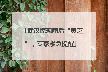 武汉惊现雨后“灵芝”，专家紧急提醒