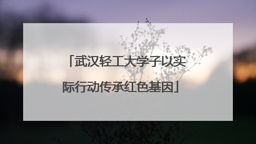 武汉轻工大学子以实际行动传承红色基因