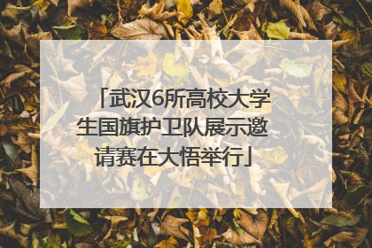 武汉6所高校大学生国旗护卫队展示邀请赛在大悟举行