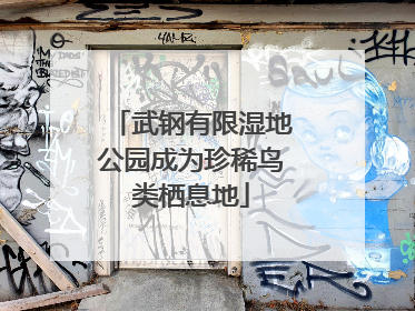 武钢有限湿地公园成为珍稀鸟类栖息地