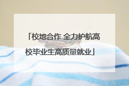 校地合作 全力护航高校毕业生高质量就业