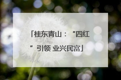 桂东青山：“四红”引领 业兴民富