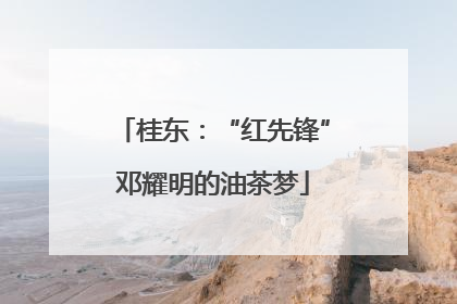 桂东：“红先锋”邓耀明的油茶梦
