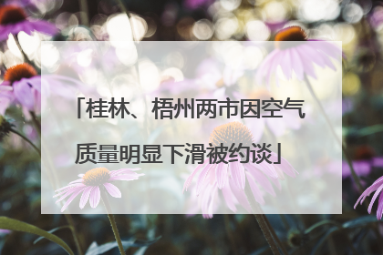 桂林、梧州两市因空气质量明显下滑被约谈