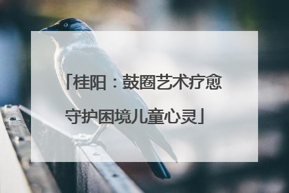 桂阳：鼓圈艺术疗愈守护困境儿童心灵