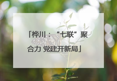 桦川：“七联”聚合力 党建开新局