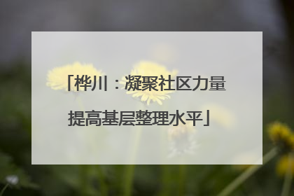 桦川：凝聚社区力量 提高基层整理水平