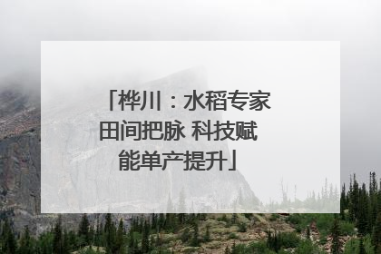 桦川：水稻专家田间把脉 科技赋能单产提升