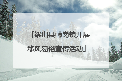 梁山县韩岗镇开展移风易俗宣传活动