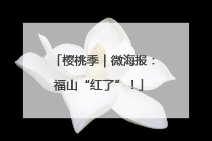 樱桃季｜微海报：福山“红了”！