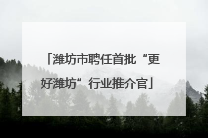 潍坊市聘任首批“更好潍坊”行业推介官