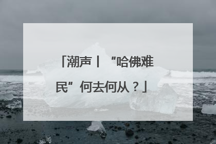 潮声丨“哈佛难民”何去何从？
