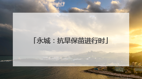永城：抗旱保苗进行时