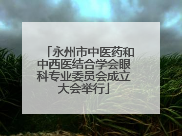 永州市中医药和中西医结合学会眼科专业委员会成立大会举行