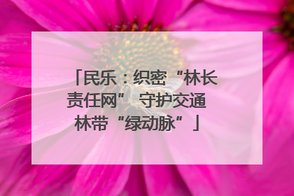民乐：织密“林长责任网” 守护交通林带“绿动脉”