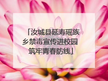 汝城县延寿瑶族乡禁毒宣传进校园 筑牢青春防线