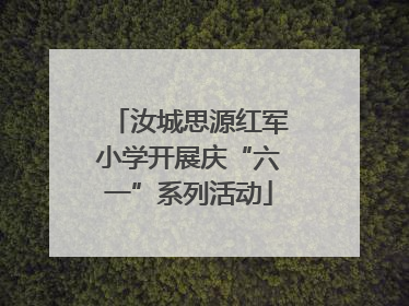 汝城思源红军小学开展庆“六一”系列活动