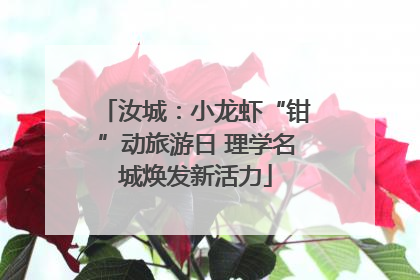 汝城：小龙虾“钳”动旅游日 理学名城焕发新活力