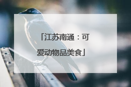 江苏南通：可爱动物品美食