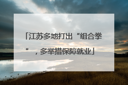 江苏多地打出“组合拳”，多举措保障就业