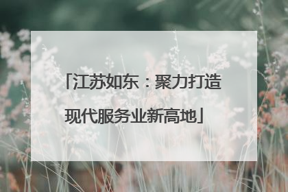 江苏如东：聚力打造现代服务业新高地
