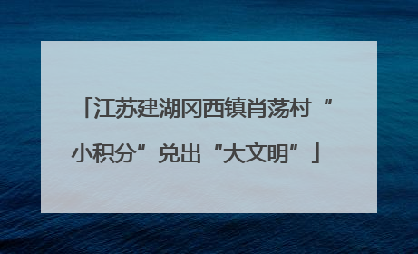 江苏建湖冈西镇肖荡村“小积分”兑出“大文明”