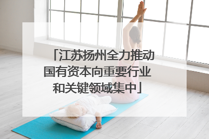 江苏扬州全力推动国有资本向重要行业和关键领域集中