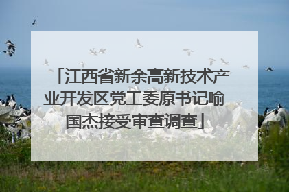 江西省新余高新技术产业开发区党工委原书记喻国杰接受审查调查
